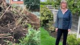 Invasive bamboo causes £10,000 damage to home and spreads over multiple gardens
