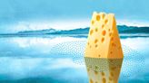 Experts speak on moldy cheese: Is it safe to eat?