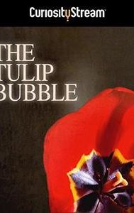 The Tulip Bubble