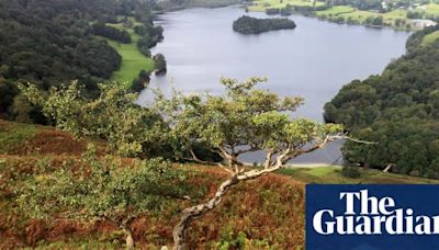 Labour says UK nature under threat and pledges to halt decline