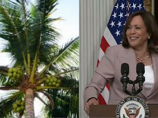 Kamala Harris' Coconut Tree Meme Goes Viral Again: What’s Behind The Buzz?