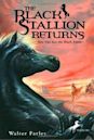 The Black Stallion Returns (The Black Stallion, #2)