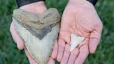 13-year-old 'over the moon' to discover megalodon shark tooth on UK beach