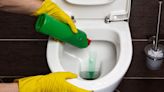 Toilet unblocking method that 'always works' and doesn't use chemicals