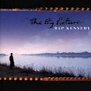 The Big Picture (Bap Kennedy album)