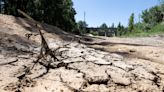 La sequía estrangula a España una vez más