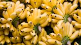 Bananas Vs Plantains: What's The Difference And How Do You Use Them?