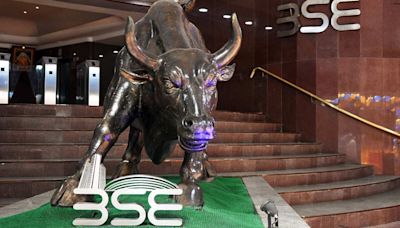 Multibagger IPO: BSE SME stock turns ₹1.44 lakh of allottees into ₹14.42 lakh in eight years | Stock Market News