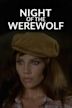 Night of the Werewolf (film)