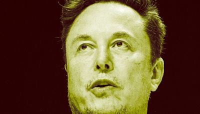 Elon Musk Mocks Concern Over SpaceX Obliterating Baby Birds in Their Nests