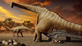 'Staggering number' of titanosaur nests discovered in India reveals controversial findings about dino moms