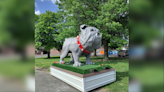 Unique ‘Bulldog Car’ spotted throughout local cities in Kansas