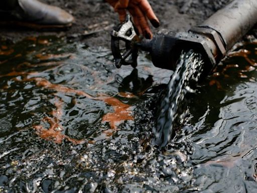 Nigeria’s oil-rich Rivers State makes moves to become investor magnet | CNN