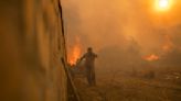 Greece fires – Live: 61 wildfires erupt in 24 hours as flames reach outskirts of Athens