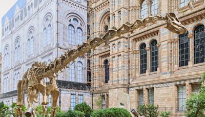 Natural History Museum opens new urban gardens complete with bronze dinosaur