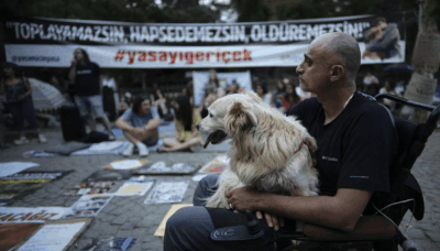 Turkiye passes law to round up stray dogs amid protests - Times of India