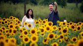 It’s sunflower season at Raleigh’s Dix Park. Here’s how to see the blooms.