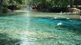 Ginnie Springs temporarily closed as deputies investigate attempted murder