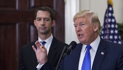 Potential Trump running mate Tom Cotton took hard look at 2024 run, but being a father came first