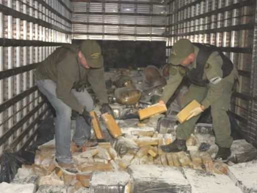 Gendarmería incautó más de 7.900 kilos de marihuana dentro de un camión frigorífico en Misiones