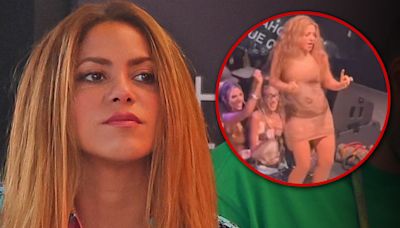 Shakira Appears Annoyed After Fan Films Up Her Dress on Stage