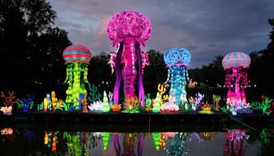 Columbus Zoo Lantern Festival lights up the night with animal display from China