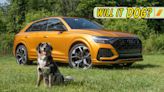 2023 Audi RS Q8 Review: Will It Dog?