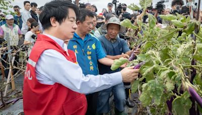 颱風致農作物災損 賴清德下令2目標