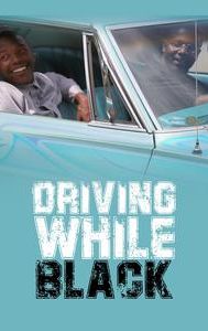 Driving While Black