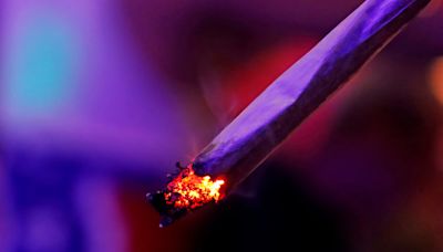 Heavy cannabis use may increase risk of certain cancers, new study finds