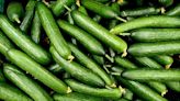 Cucumbers shipped to 14 states are suspected of carrying salmonella