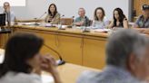 'Ha sido un ejercicio en blanco para Castrillón', critican IU y PSOE