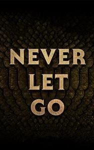 Never Let Go (2024 film)