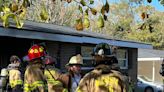 Three cats die in Augusta house fire