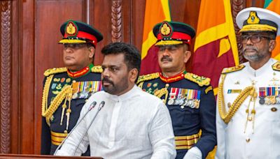 Sri Lanka could face snap parliamentary election in November