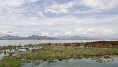 El Parque Ecológico de Texcoco prepara apertura para recibir aves migratorias