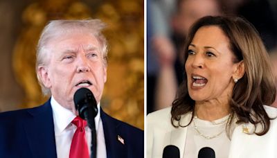 Harris vs. Trump latest presidential poll: See huge shift in swing states. Who do voters believe will win?