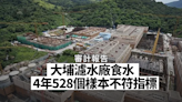 審計報告⎮ 大埔濾水廠食水四年 528 樣本不符指標 水署：水質令人滿意