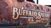 Exploring Custer State Park with Buffalo Safari Jeep Tours