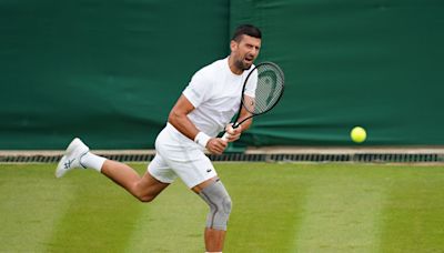 Novak Djokovic ‘pain-free’ after beating Daniil Medvedev in exhibition match