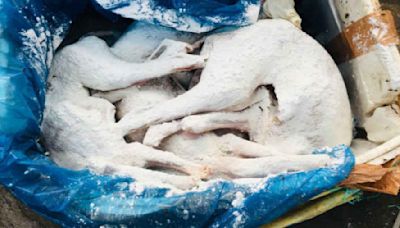 Dog Meat Sold In Bengaluru? 1,500 Kg Of Red Meat Seized At KSR Railway Station