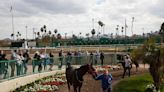 Developer backs out of Turf Paradise sale as racing, simulcasting canceled at horse track