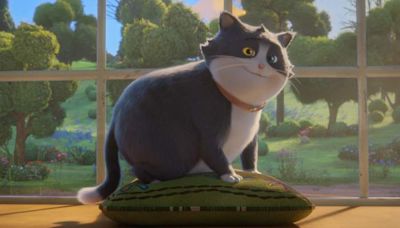 Un gato con suerte: la colorida película animada que llegó a los cines