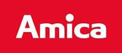 Amica (manufacturing company)