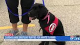 Can Do Canines go to Rochester prison for training