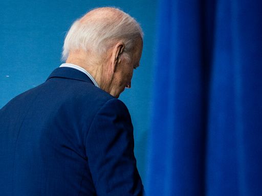 Who Might Replace Biden on the Top of the Ticket?