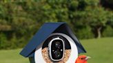 2 great deals on bird watching gadgets for mom - arrives tomorrow if you have Prime! - The Gadgeteer