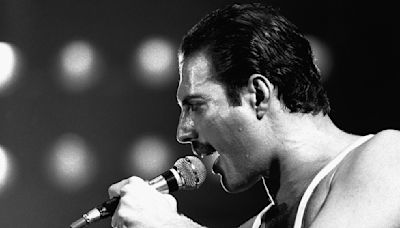 Freddie Mercury's Favorite Dish Was An Indian Classic