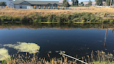 OHA warns of toxic blooms