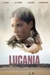Lucania (film)